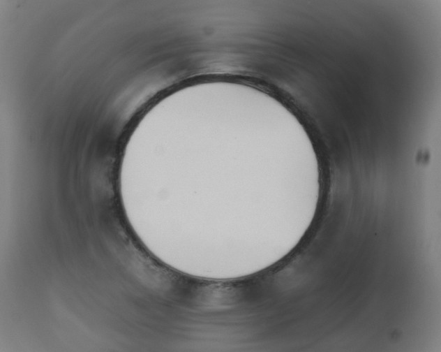 X0000112491314200908241316