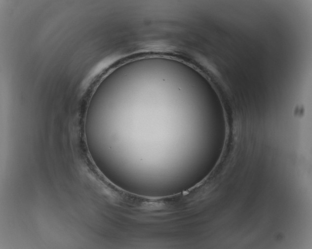 X0000112491315200908241316