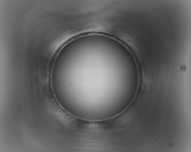 X0000112491316200908241316