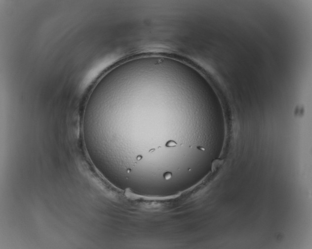 X0000112491317200908241316