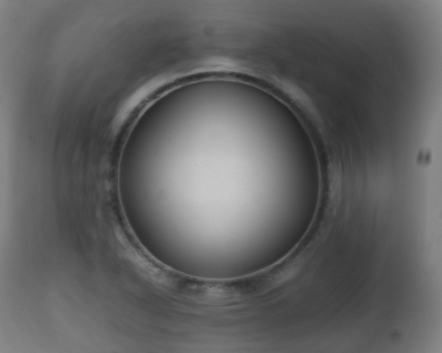 X0000112491318200908241316