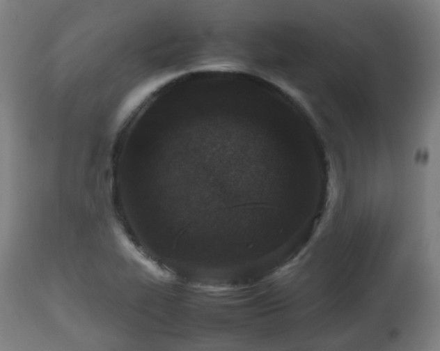 X0000112491319200908241316