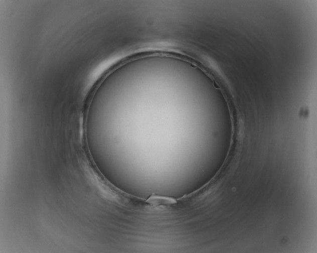 X0000112491320200908241316