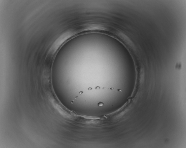 X0000112491321200908241316