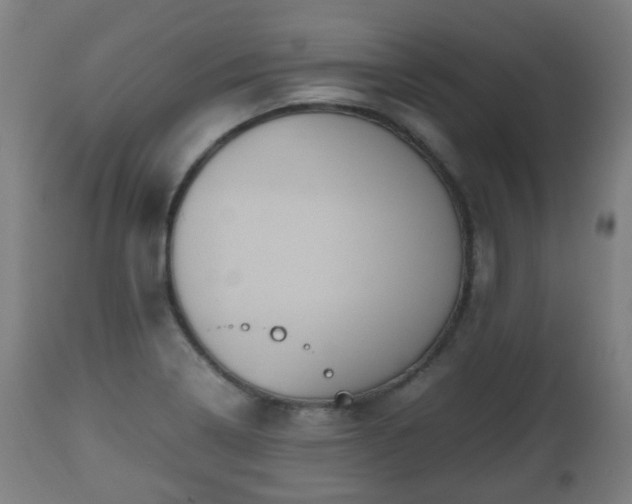 X0000112491322200908241316