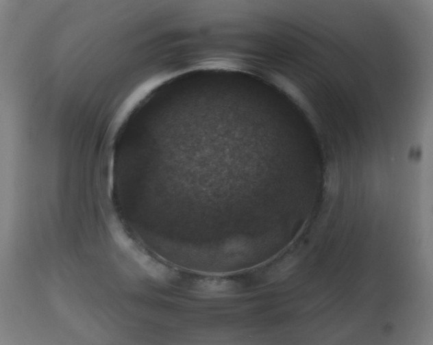 X0000112491323200908241316