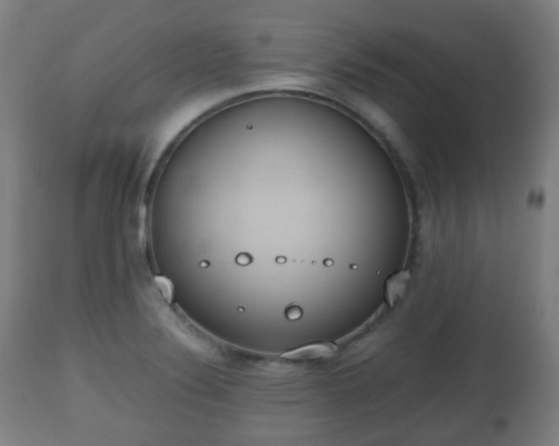 X0000112491324200908241316