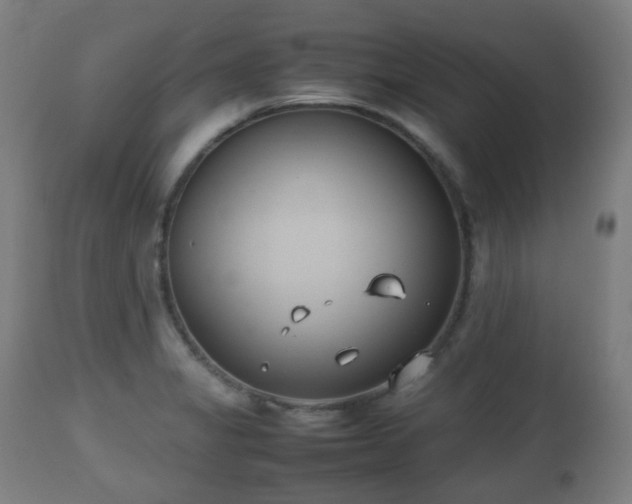 X0000112491325200908241316