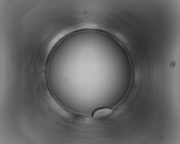 X0000112491326200908241316