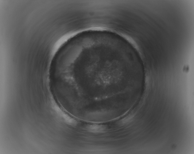 X0000112491327200908241316