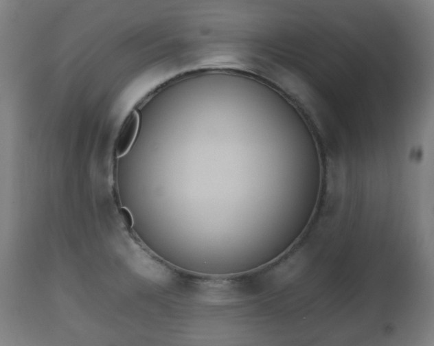 X0000112491328200908241316