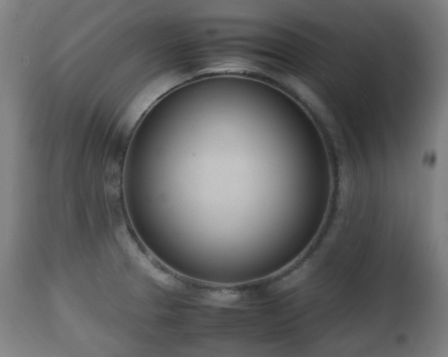 X0000112491329200908241316