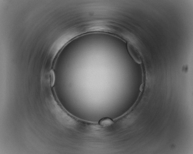 X0000112491330200908241316