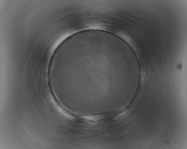 X0000112491331200908241316