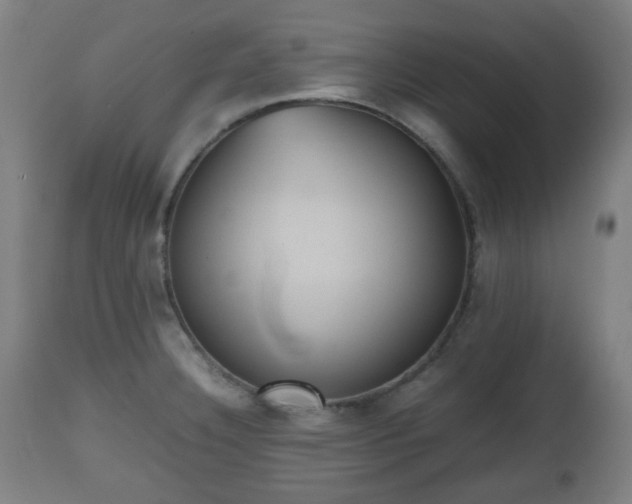 X0000112491332200908241316