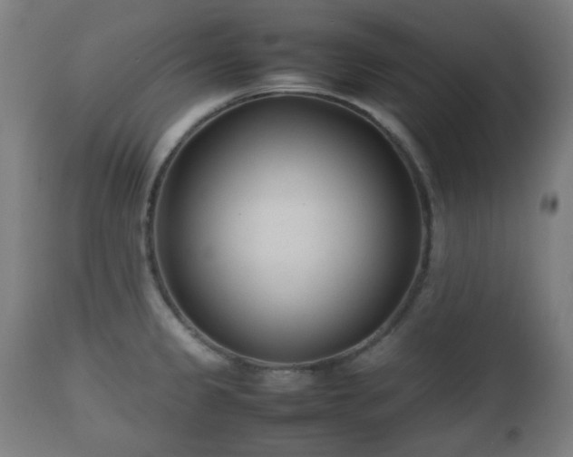 X0000112491333200908241317