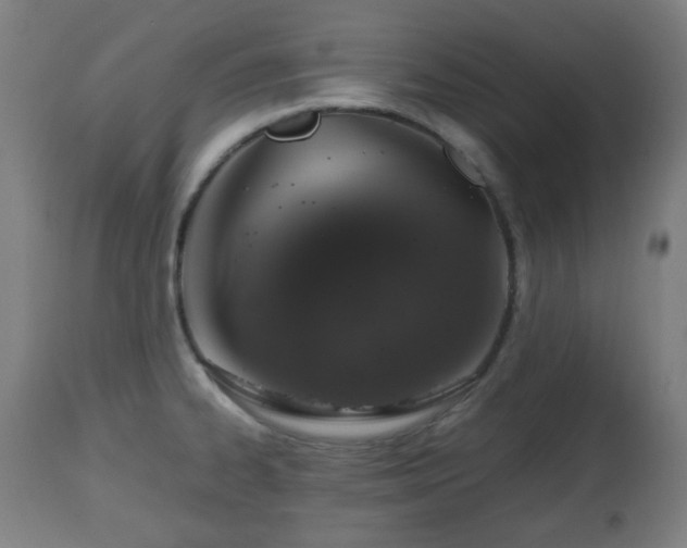 X0000112491334200908241317