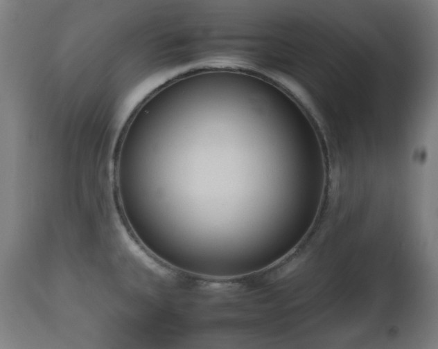 X0000112491335200908241317