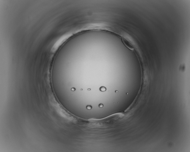 X0000112491336200908241317