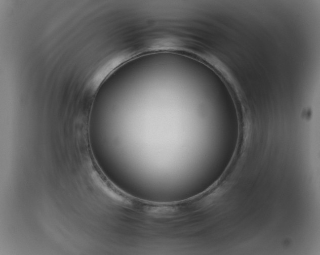 X0000112491337200908241317