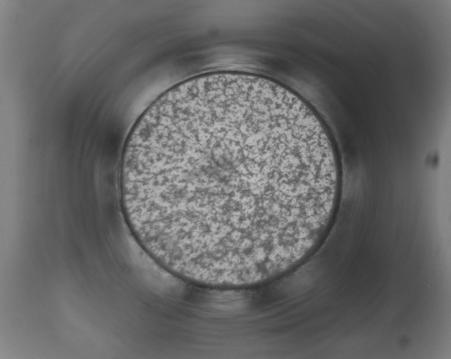 X0000112491338200908241317