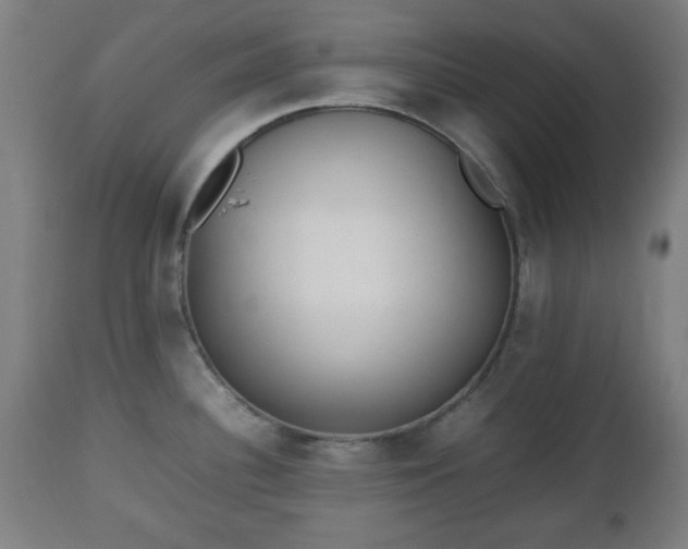 X0000112491340200908241317