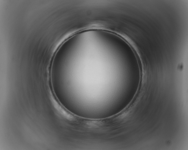 X0000112491341200908241317