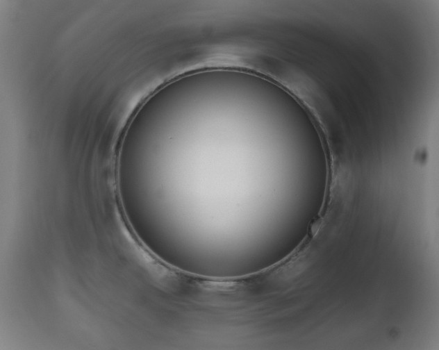 X0000112491342200908241317