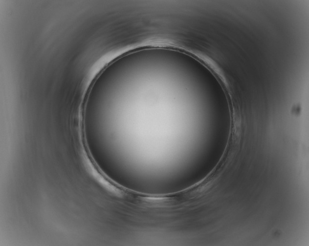 X0000112491343200908241317