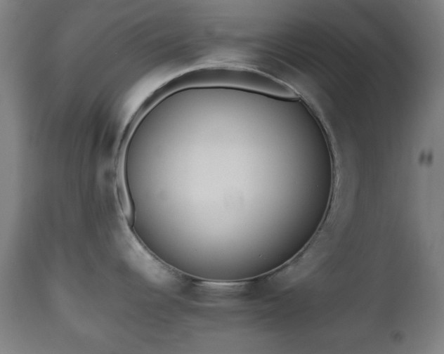 X0000112491344200908241317