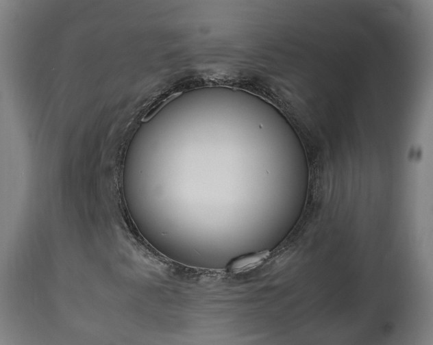 X0000112491345200908241316