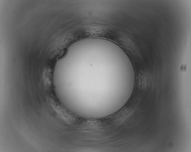 X0000112491346200908241316