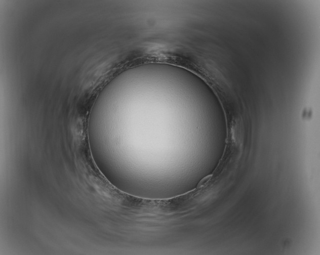 X0000112491347200908241316