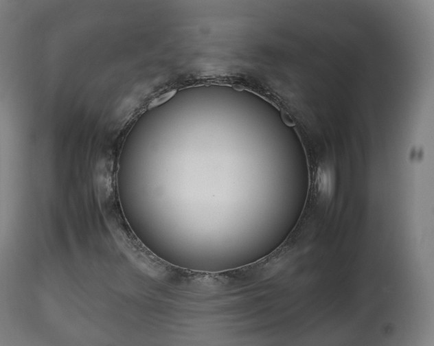 X0000112491348200908241316