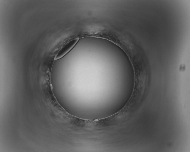 X0000112491349200908241316