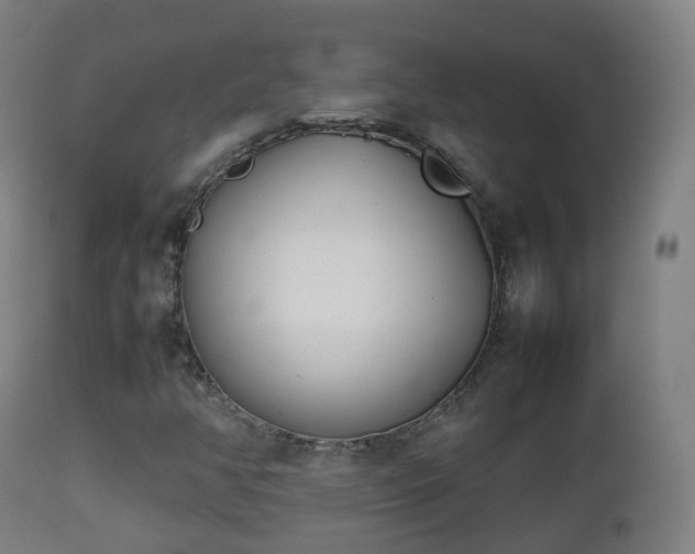 X0000112491350200908241316