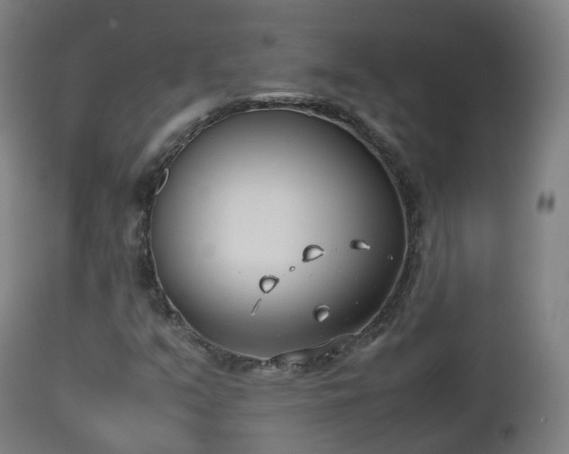 X0000112491351200908241316