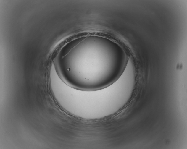 X0000112491352200908241316