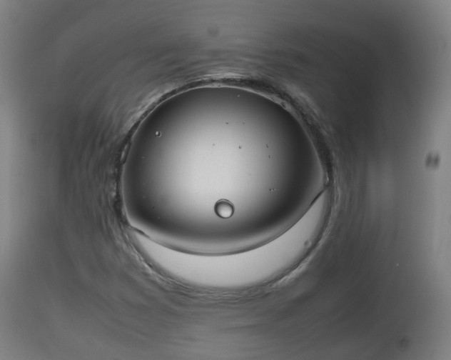 X0000112491353200908241316