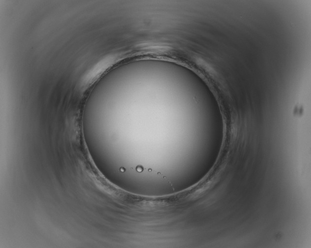 X0000112491354200908241316