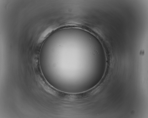 X0000112491355200908241316