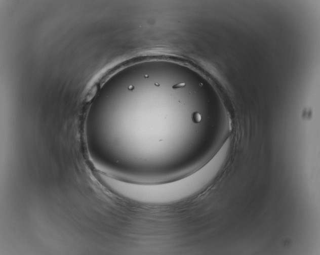 X0000112491356200908241316