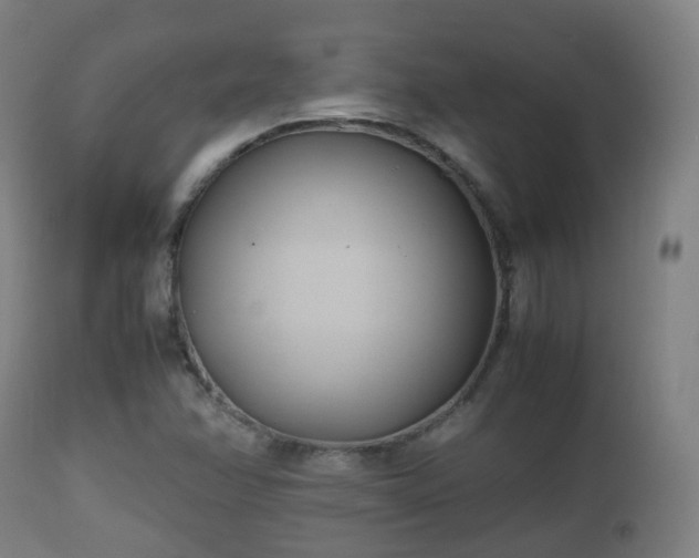 X0000112491358200908241315