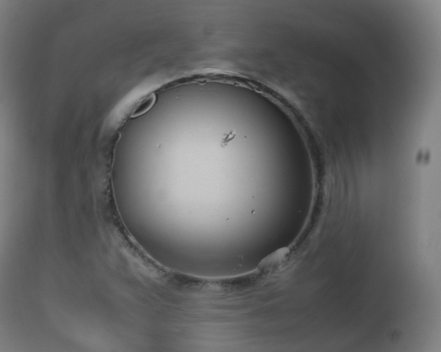 X0000112491359200908241315