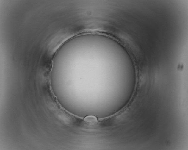 X0000112491361200908241315