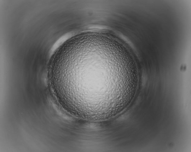 X0000112491362200908241315