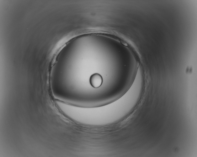 X0000112491365200908241315