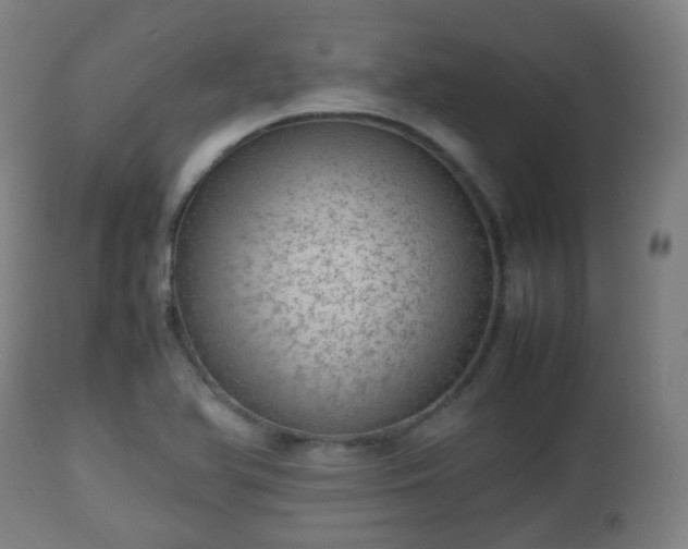 X0000112491366200908241315