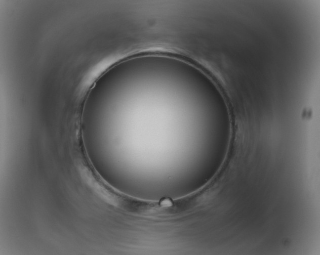 X0000112491367200908241315