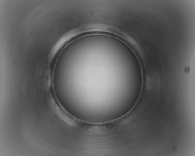 X0000112491368200908241315